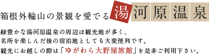 箱根外輪山の景観を愛でる　湯河原温泉　緑豊かな湯河原温泉の周辺は観光地が多く、名所を楽しんだ後の宿泊地としても大変便利です。観光にお越しの際は「ゆがわら大野屋旅館」を是非ご利用下さい。